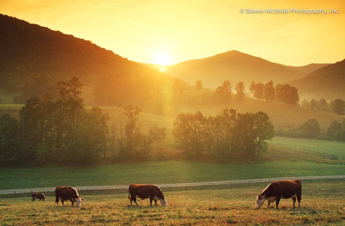 Asheville North Carolina wedding venues